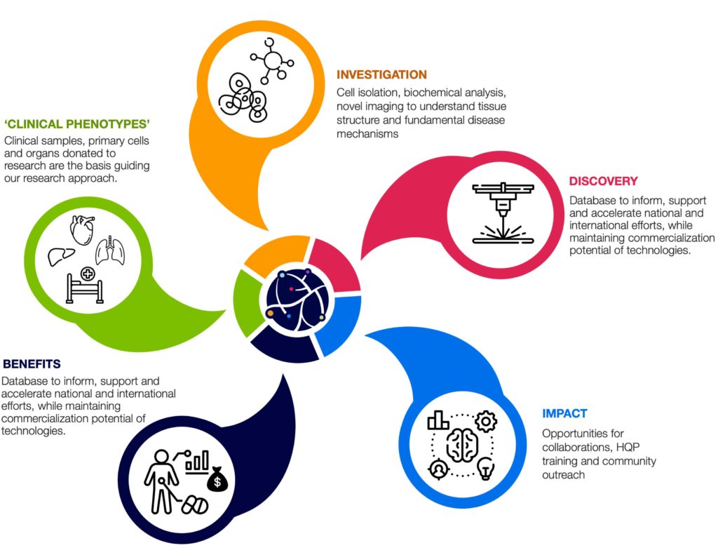 About TEAm Ottawa infographic.